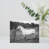 Civil War Horse, jaren 1860 Briefkaart (Staand voorkant)