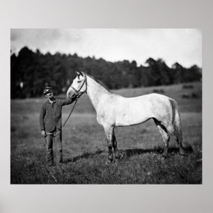 Civil War Horse, jaren 1860 Poster
