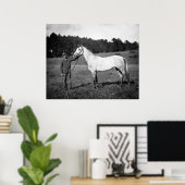 Civil War Horse, jaren 1860 Poster (Thuiskantoor)