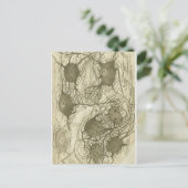 Cjal neuronen 6 briefkaart (Staand voorkant)