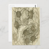 Cjal neuronen 6 briefkaart (Voorkant / Achterkant)