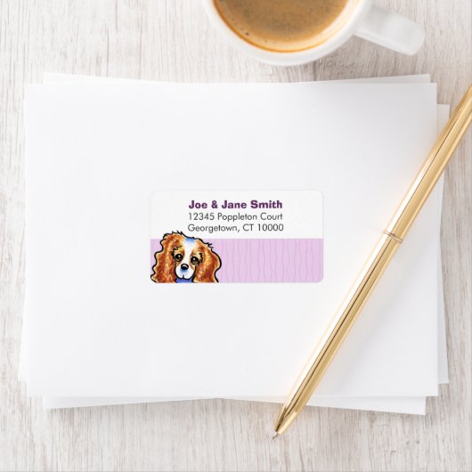 CKCS Blenheim Thistle Stripes Etiket (Insitu)