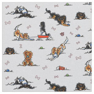 CKCS Spaniels Oyster voor speelplaats Stof