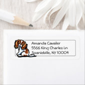 CKCS Studio Simple Etiket (Insitu)