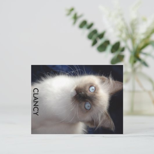 cla1, CLANCY Briefkaart (Staand voorkant)