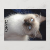 cla1, CLANCY Briefkaart (Voorkant)