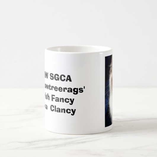 cla1, RW SGCAWillowtreerags'Irish Fancyaka Clancy Koffiemok (Center)