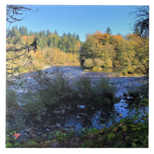 Clackamas River, OR Tegeltje