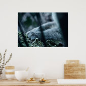 Clad in Velvet Poster (Keuken)