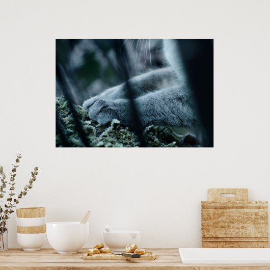 Clad in Velvet Poster (Keuken)