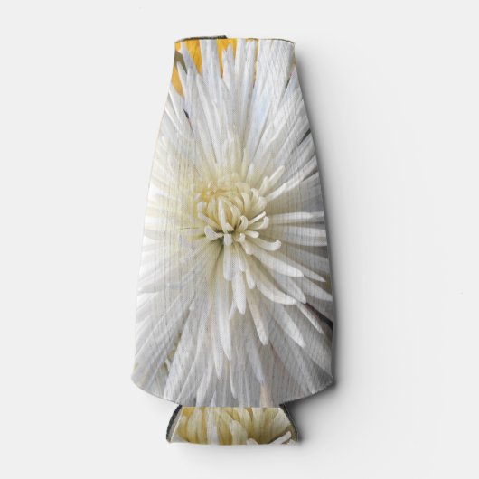 Claicia Flesjeskoeler (Voorkant)