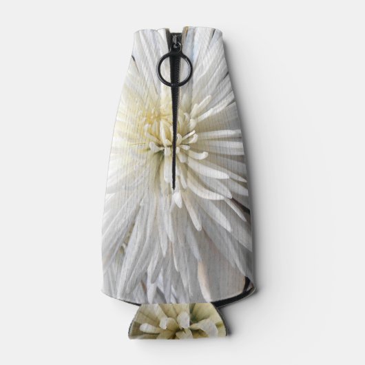 Claicia Flesjeskoeler (Achterkant)