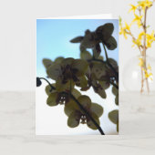 Clair DE Fleur Kaart (Gele Bloem)