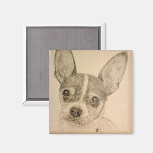 Claire de Teddy Roosevelt Terrier Magnet (Voorkant / Achterkant)