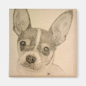 Claire de Teddy Roosevelt Terrier Magnet (Voorkant)