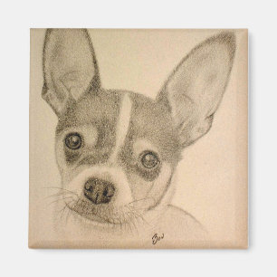 Claire the Teddy Roosevelt Terrier Magnet