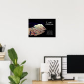 Clairvoyant Psychic 8 Poster (Thuiskantoor)