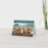 Clam Bake (Voorkant)