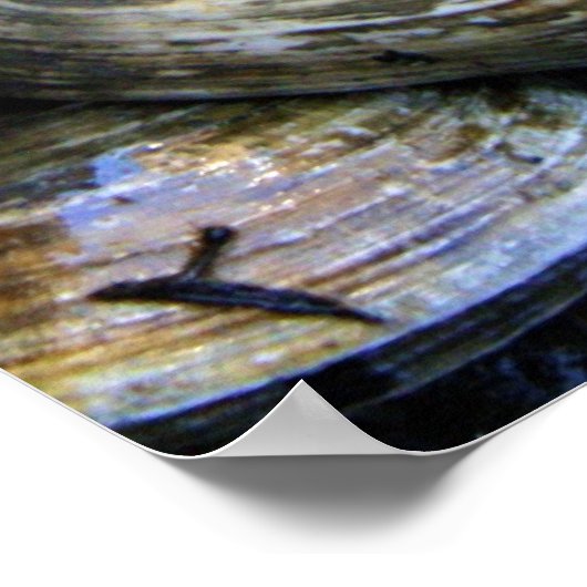 Clam Bake Poster (Hoek)