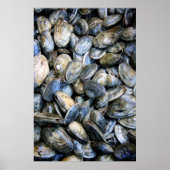 Clam Bake Poster (Voorkant)