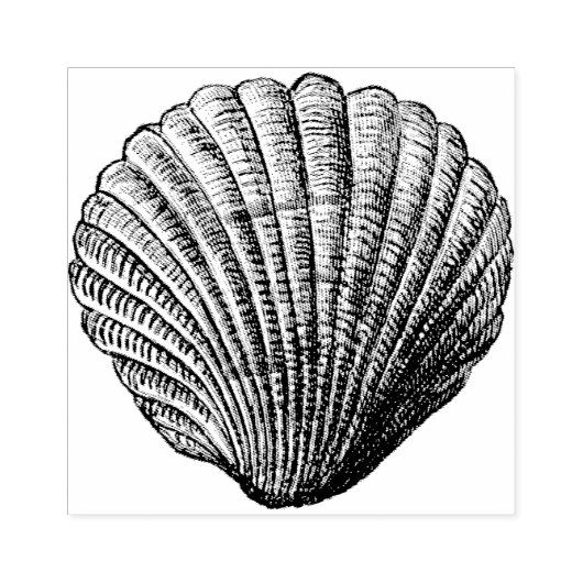 Clam Shell Rubber Art Stamp Rubberstempel (Afrduk)