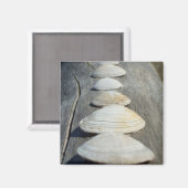 Clam Shells Magnet (Voorkant / Achterkant)
