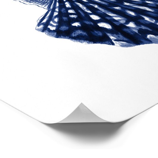 Clam Shells Navy Beach Decor Poster (Hoek)