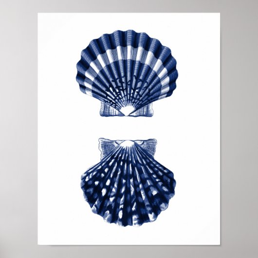Clam Shells Navy Beach Decor Poster (Voorkant)