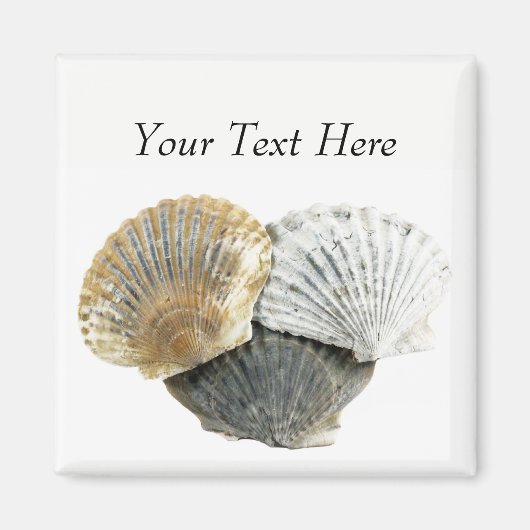 Clam Shells Personalized Magnets Magneet (Voorkant)