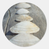 Clam Shells Stickers (Voorkant)