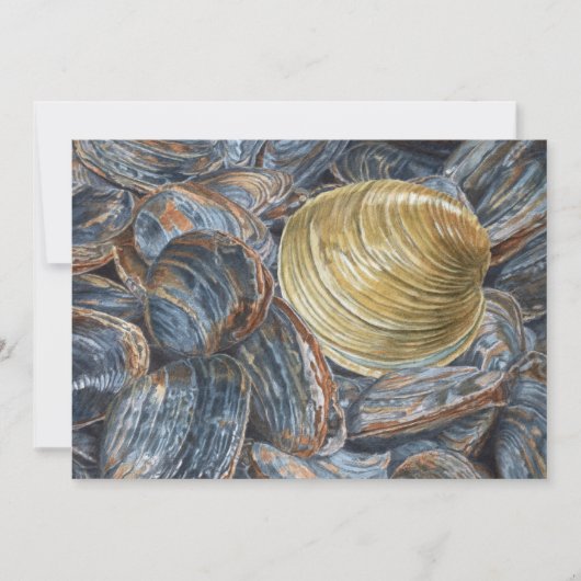 Clams and Quahog Art Postcard Kaart (Voorkant)