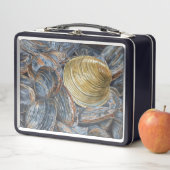 Clams and Quahog Shell (In situ)