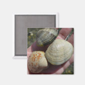 Clams en een kokkelmagneet magneet (Voorkant / Achterkant)