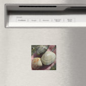 Clams en een kokkelmagneet magneet (Insitu (Vaatwasser))