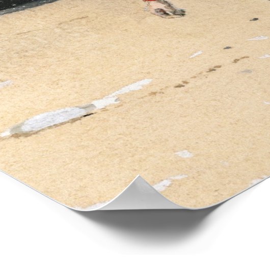 Clams II-mand Poster (Hoek)