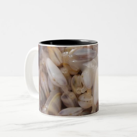 Clams Mok (Voorkant links)