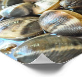 Clams - Up Close en Personal - High Definition Poster (Hoek)