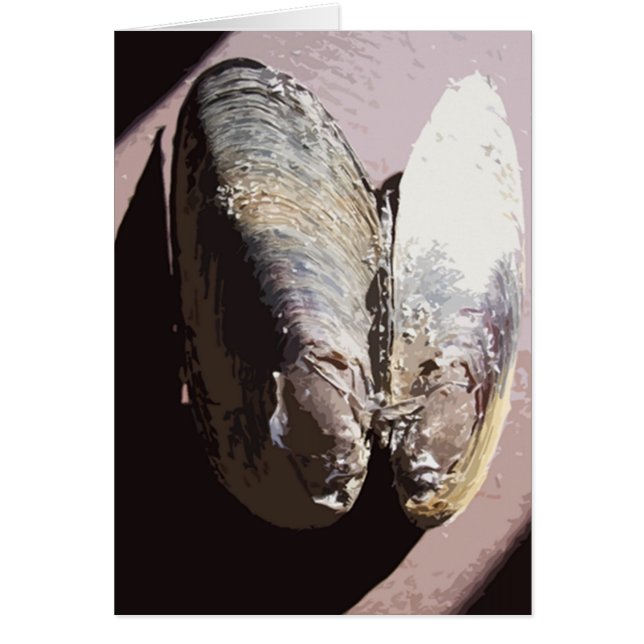 Clamshell Butterfly Art (Voorkant)