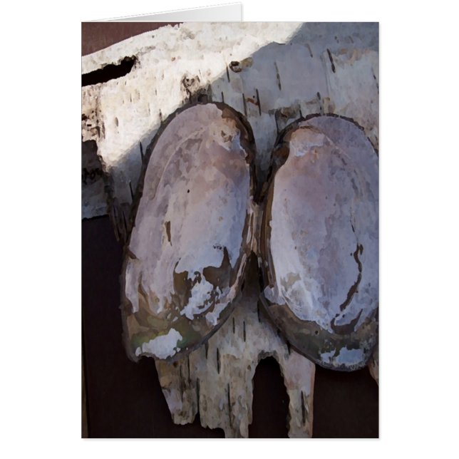 Clamshell Wings (Voorkant)