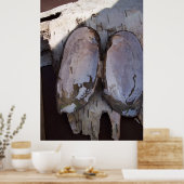 Clamshell Wings Poster (Keuken)