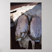 Clamshell Wings Poster (Voorkant)