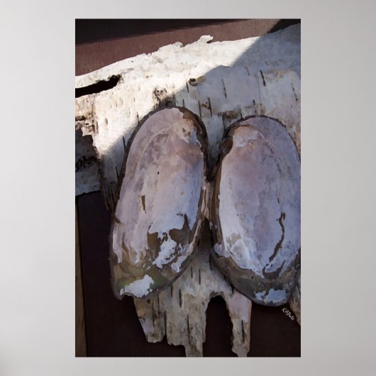 Clamshell Wings Poster (Voorkant)