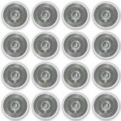 Clan Campbell Crest & Tartan Knot Sticker (Voorkant)