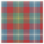 Clan Foster Oude Tartan Stof (Close Up)