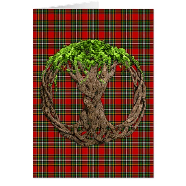 Clan gillespie Tartan en de Keltische boom van het (Voorkant)