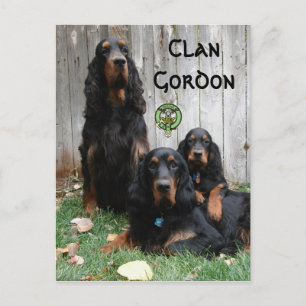 Clan Gordon, Gordon Setter Generations Briefkaart