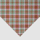 Clan MacAlister Jurk Tartan Tissue Papier (Detail)