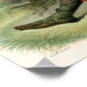 Clan MacDonald van Glencoe Poster (Hoek)