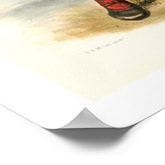 Clan MacLean Poster (Hoek)