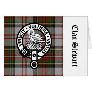 Clan Stewart Crest & Tartan